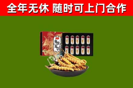 贞丰县回收冬虫夏草价格